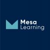 Mesa Learning